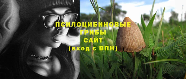 кокаин перу Богданович